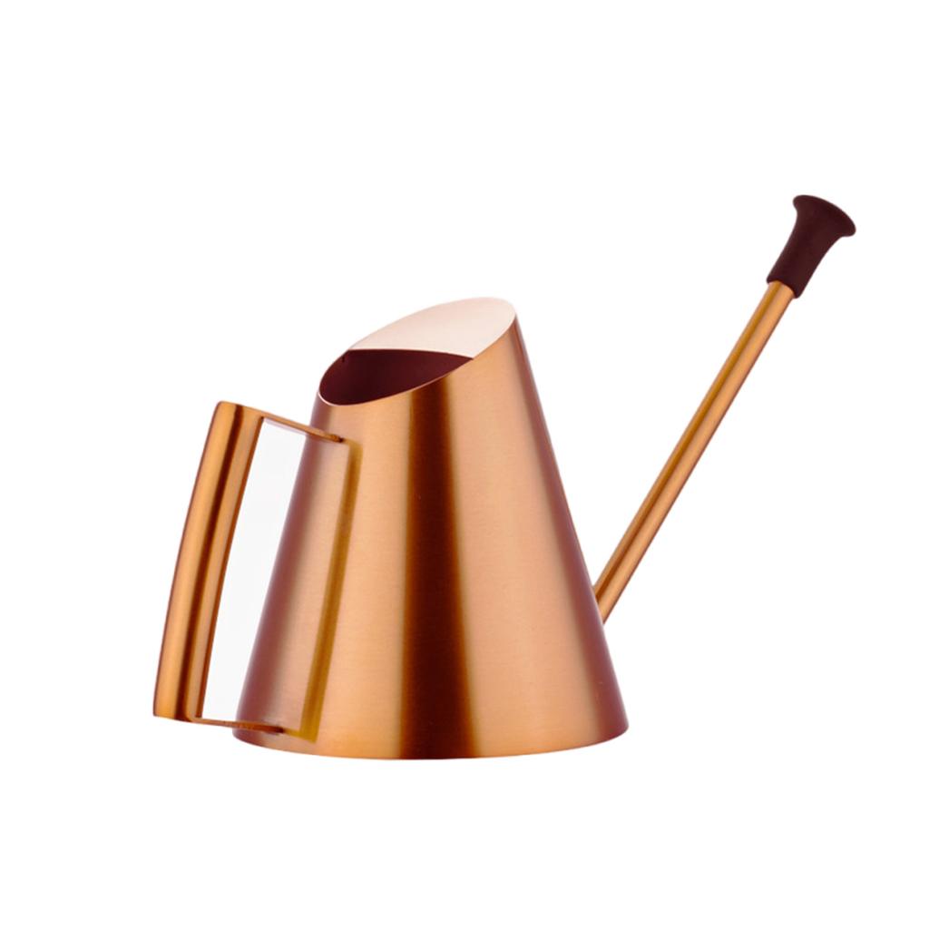Watering Can Indoor Plant Indoor Watering Can For Plant 30.4Oz/900ml Stainless Steel Watering Can Long Spout Plant Bottl