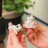 Ceramic Frog Shape Tea Pets Chinese Kung Fu Tea Desktop Decorations Ornaments Zen Lotus Teaware Ceremony Accessories