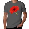 Red Gerbera Daisy T-Shirt Kawaii Clothes Heavyweights Cute Tops Mens Clothing