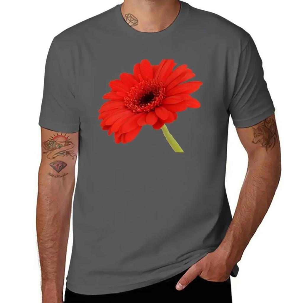Red Gerbera Daisy T-Shirt Kawaii Clothes Heavyweights Cute Tops Mens Clothing