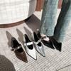 Pointed French single shoes retro temperament word Mary 2025 new silver thick heel middle heel shoes spring and autumn wear