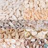1 Box Sea Shells Spiral Shell Tiny Ocean Spiral Seashells Crafts Aquarium Decoration Landscaping Accessories Photography Props