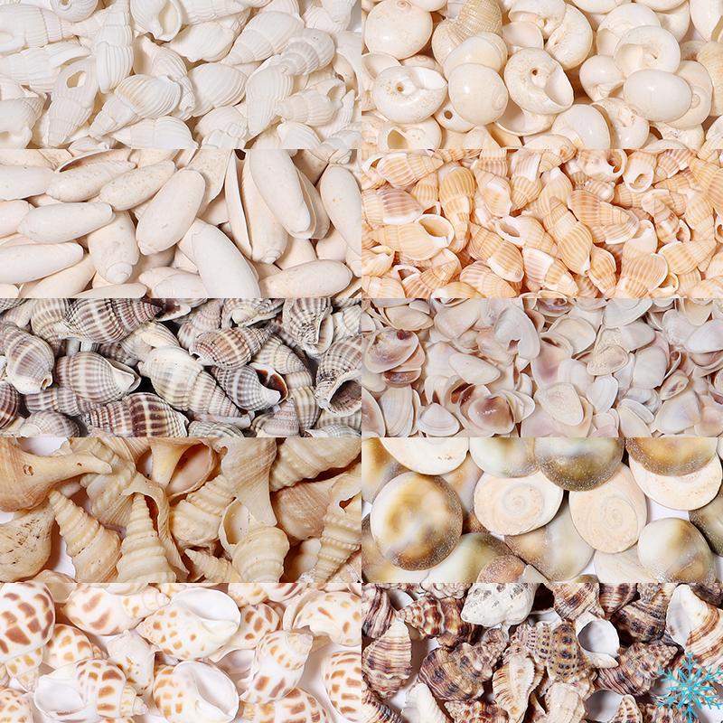 1 Box Sea Shells Spiral Shell Tiny Ocean Spiral Seashells Crafts Aquarium Decoration Landscaping Accessories Photography Props