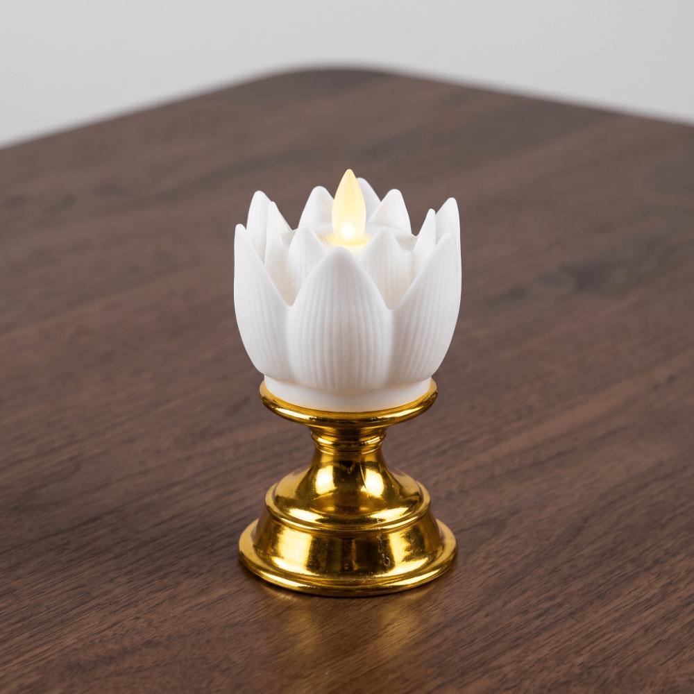 Plastic Battery Powered Flower Shaped LED Table Lamp  Bedside Small Decorative Night Lamp
