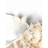 Corsets, Fashionable and Elegant Women's Clothing