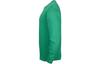 Nike T Shirts Men's Green Crew Neck Moderate Straight Fit FN0253-324