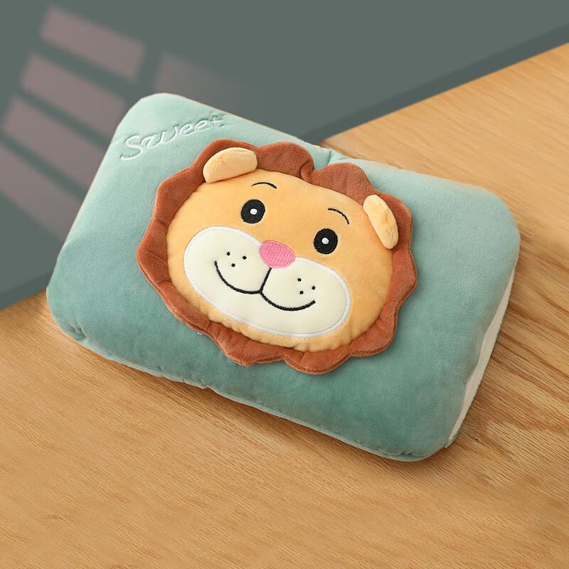 

Explosion-Proof Rechargeable Hot Water Bottle