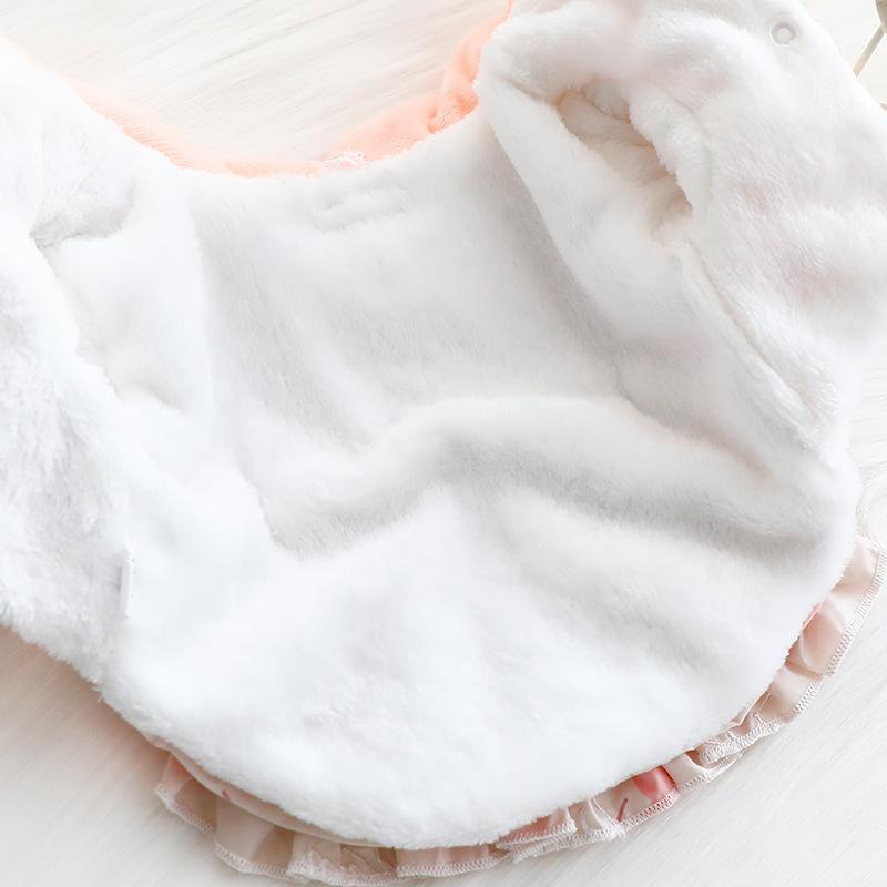 Dog Clothes Autumn and Winter Cat Princess Dress Fleece Thick Sweet Lolita Small Dog Pet Supplies