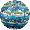 1pc Island Paradise Dolphins Durable Size 5 Soccer Ball Professional Match Training Football Indoor &Outdoor Sports Ball P60163