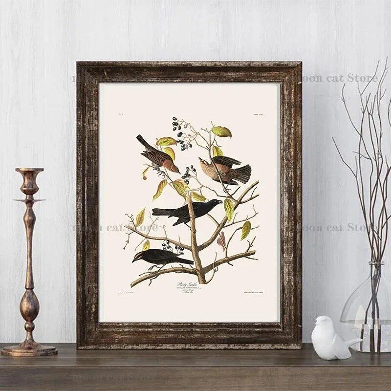 

Винтажные птицы старый Audubon иллюстрация цветочные растения плакат холст живопись баклан птица настенные панно реализм искусство домашний декор 21cm×30cm NoFrame