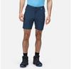 Regatta Mountain II Shorts