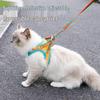 Yun Xiao Shi Anti-Escape Dog Harness & Leash Set