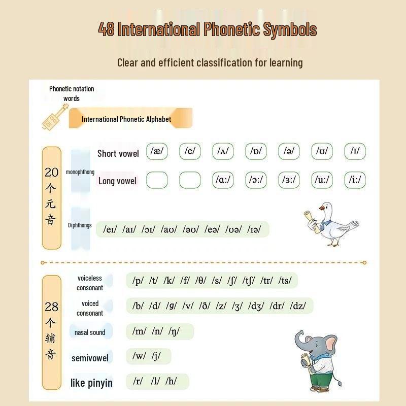 Phonics Word List: Audio-Visual English Rhymes for Primary School Reading & Memorization
