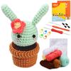 DIY Crochet Craft Set Crochet Potted Plant Kits with Crochet Hook, Yarns, Needle, Instructions, Accessories for Beginner