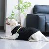 1.5-32.5kg Warm Waterproof Vest Golden Retriever Big Dog Clothes Winter Dog Vest Coat for Small Medium Large Dogs