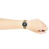 Hal 10 ATM Wasser Mineral Schwarz [SPINNAKER] Uhr, Mecha-Quarz, Widerstandsfähig, Glas, Zifferblatt, SP-5068-01, Herren [Authentisch]