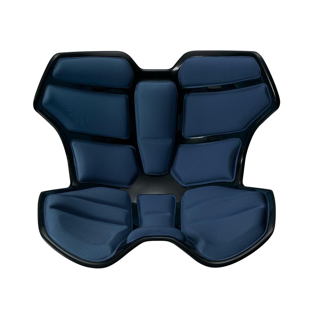 Exclusive Style Athlete Athlete II MTG MTG Pelvic Support Chair Hunchback Chair [Amazon Color] II/Style (Navy)