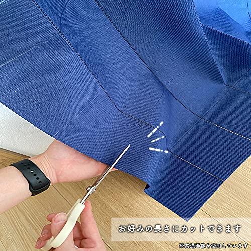Noren Kobo Accordion Curtain, Simple, Plain, Stylish, Natural, Folding Curtain, 150cm Wide x 200cm Long, Room Divider, Privacy Screen, N-Plain White 9