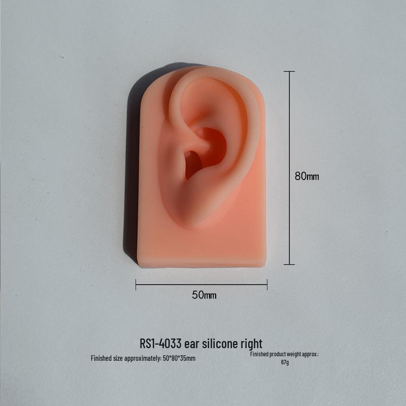 Silicone Ear Model for Piercing Jewelry Display