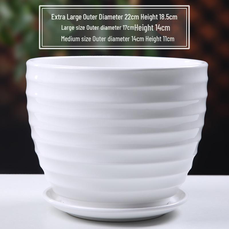 Simple White Ceramic Flower Pot with Base for Indoor Plants - Available in Large and Extra Large