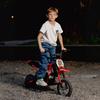 Electric Motorcycle for Children, 24 V, 250 W, Speed 6.4-16 km/h, Ages 8-12, Red