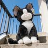 Textured Plush Cat Doll Toy - Comfort Companion & Birthday Gift for Kids