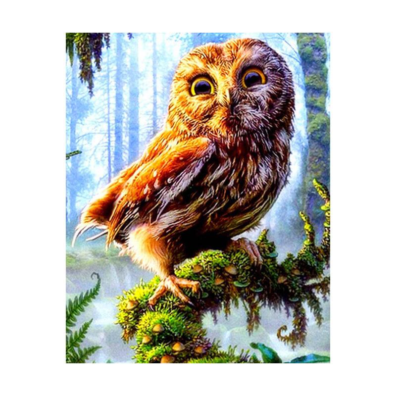

5D DIY Алмазная картина 30x40 см Животное Вышивка крестом Полный круглый дрель Милая вышивка Сова 30x40cm