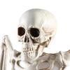 Halloween Skeleton Decorations With Colorful Light, Scary Groundbreaker