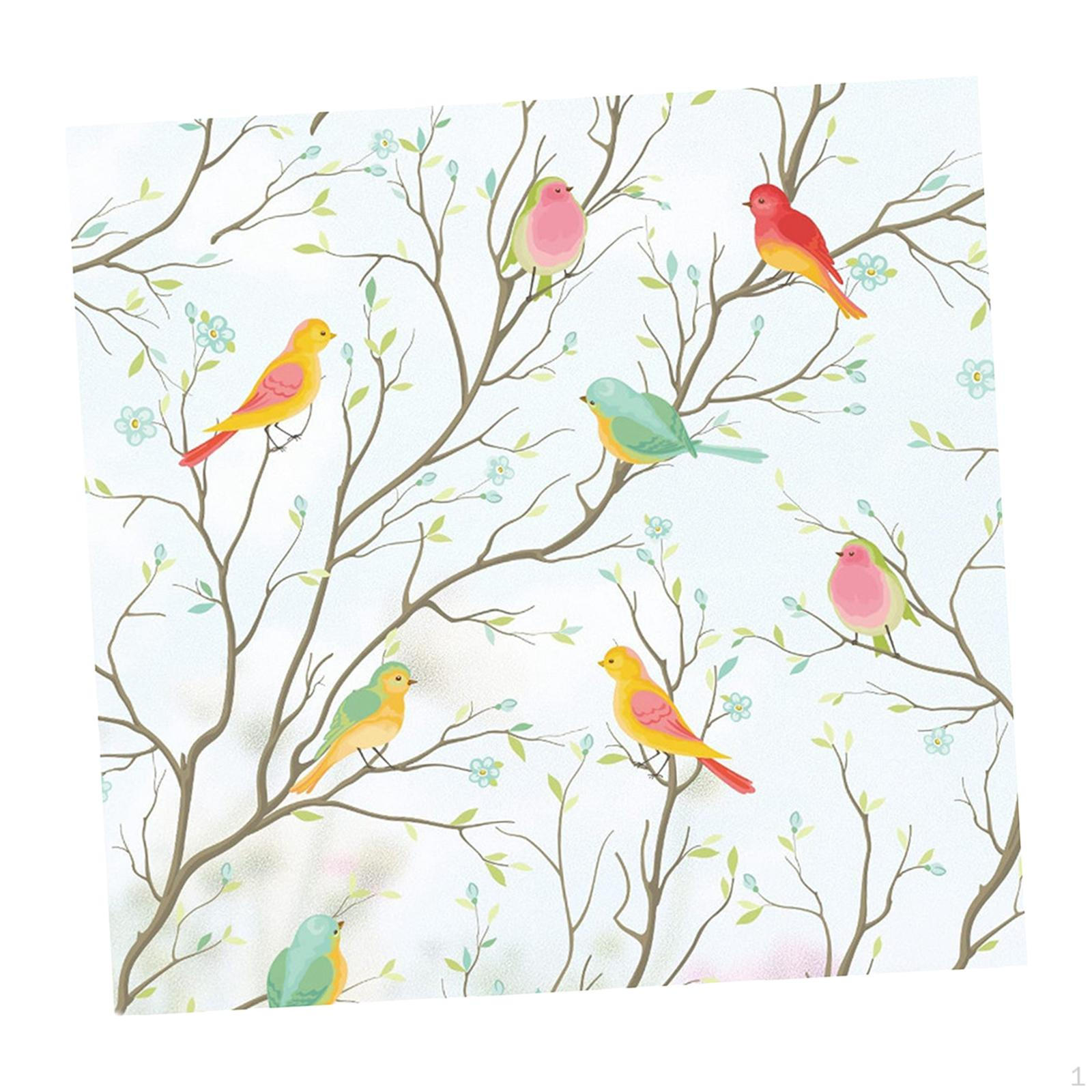 Avian Haven Privacy Window Film for Home and Office Decor 45cmx100cm