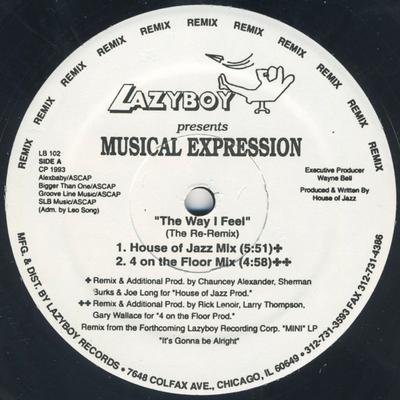 12inch Record MUSICAL EXPRESSION - The Way I Feel (The Re-Remix) LB102 Lazyboy Records 1993 US Dance & Electronica Used