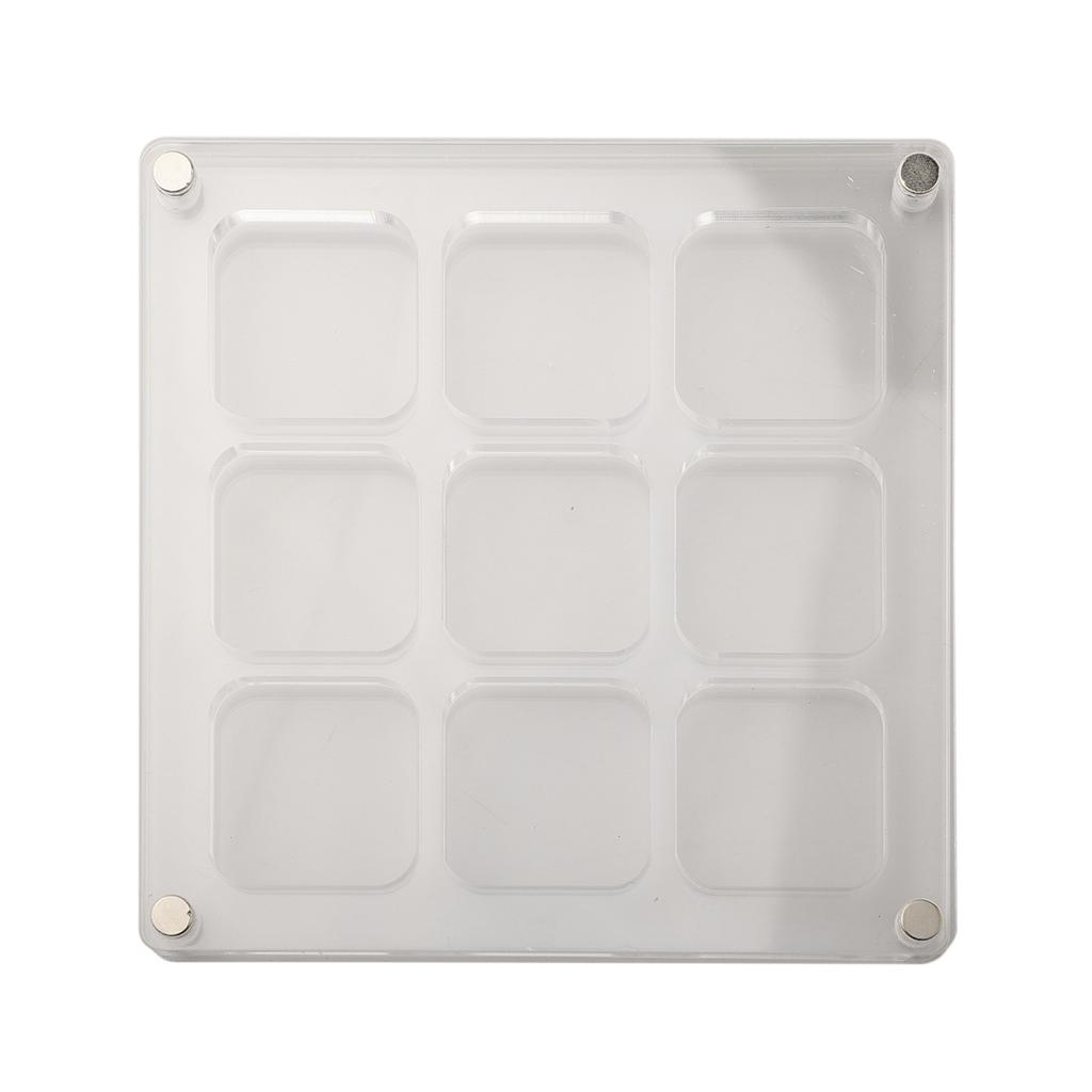 Transparent Mini Shell Storage Solution in Acrylic Material