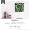 [Supervised and Produced by a Professional Floral Designer] Made in Japan by Couleur Faux Wall Greenery for Interior Decor [Deodorizing with