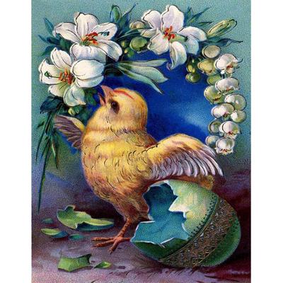 Pittura con Diamanti 5D Fai da Te Trapano Rotondo Completo Uccello con Fiore Ricamo con Diamanti Punto Croce