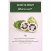 ANJO Professional Noni Collagen Toner – The Time-Stopping "Superfood" Essence