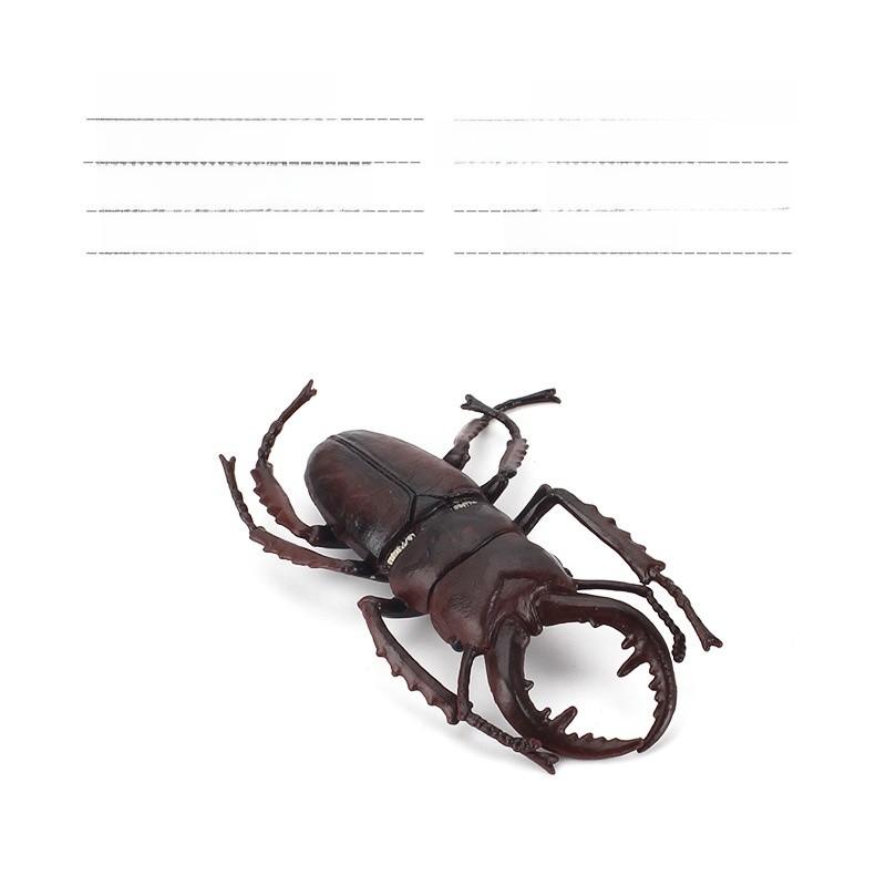 Allomyrina Dichotoma Model Pvc Realistic Display Scene For Science Education And Collectors