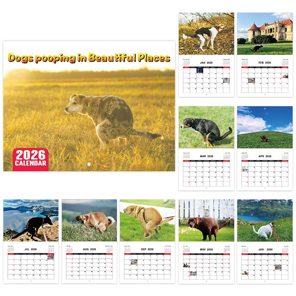 12-Month Calendar Monthly Planner Funny Animal Calendar Hanging Calendar for Office School Home
