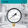 CONJANT Y-100-JK General Pressure Gauge