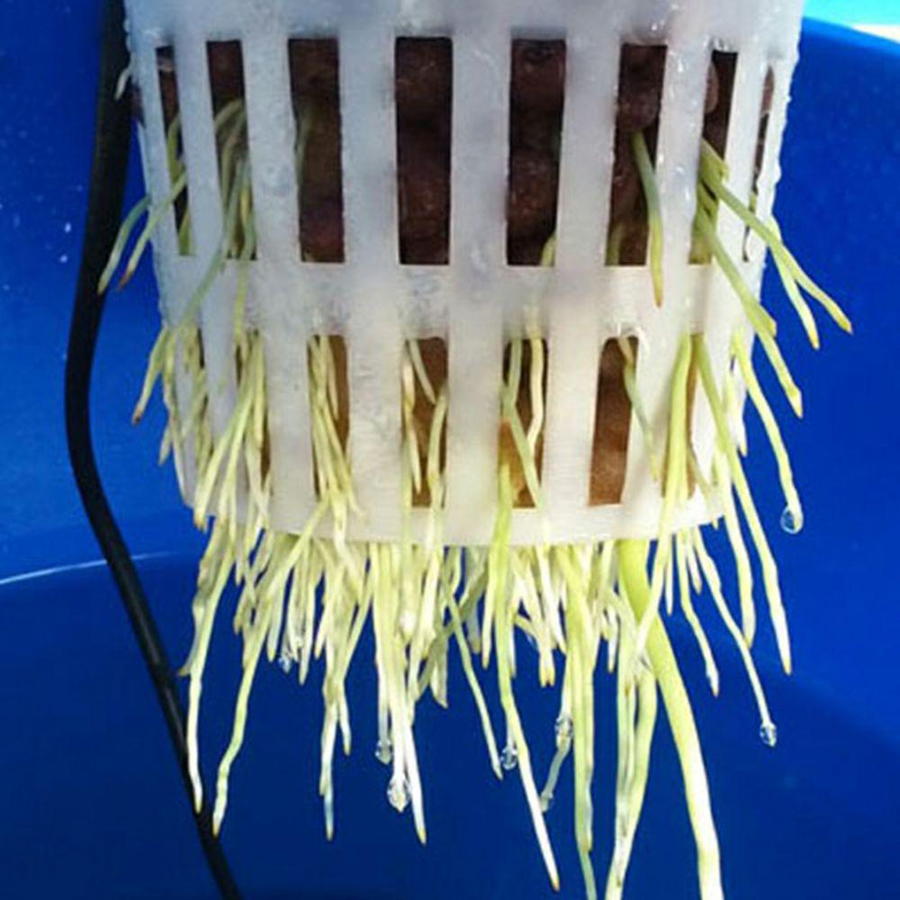 20pcs Hydroponic Mesh Pot Vegetable Planting Basket Soilless Cultivation Equipment Aeroponic Plastic Plant Rooter Net Cup