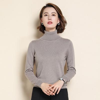 Women's Fall and Winter Short High Neck Sweater