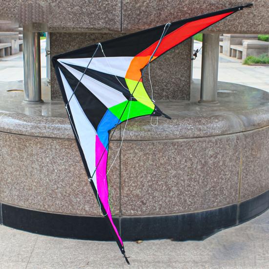 Kite Colorful Large Sound 1.2M Triangle Stunt Kite for Playing