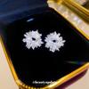 Silver Needle Design Sense Crystal Cluster Flower Zircon Pearl Stud Earrings Light Luxury Niche Earrings Exquisite Earrings