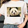 Cute Giant Panda Graphic Tshirt Wos Summer Sexy Top Casual Printed Shirt Fashionable Summer Fashion Polyester Fabric