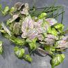 Tropical Plant Artificial Anthurium Leaf 3d Printing Plastic Simulation Taro Leaf Plant Palm Plant Lifelike
