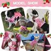 Cat Harness with Leash Escape Proof - Fashionable Mesh Cat Dog Walking Harness