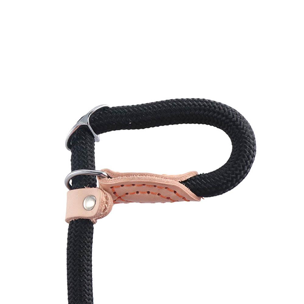 Strong Adjustable Puppy Rope Nylon Solid Color Lightweight Dog Leash Dog Training Supplies Pet Leads Belt Dogs Harness