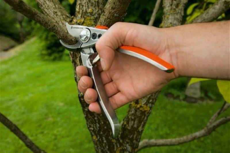 Gardena Premium Aluminum Pruner Up To 24 8702 1 Pc