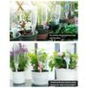 Plant Watering Spike Slow Release Portable Self Watering Spike Drip Irrigation Spike for Potted Plants Indoor Outdoor Gardening