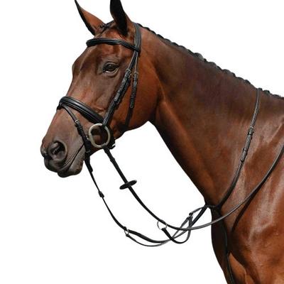 Collegiate Syntovia+ Plain Flat Running Martingale