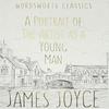 A Portrait of the Artist As a Young Man by James Joyce Paperback Book 9781853260063