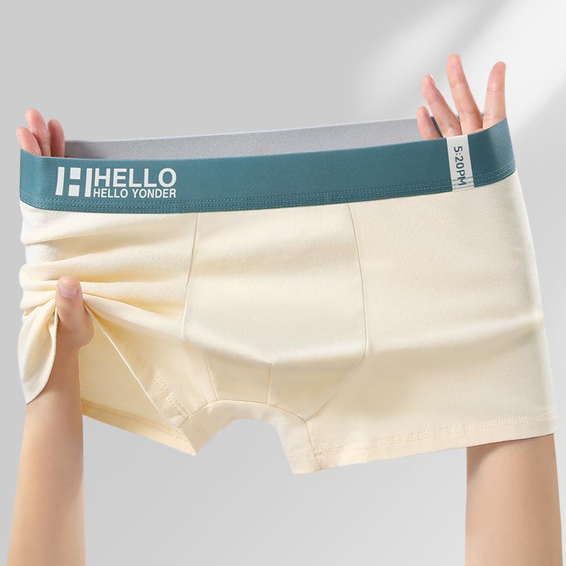 Plus Size Men's Spring and Summer Pure Cotton Antibacterial and Breathable Youth Briefs